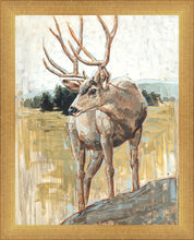 Load image into Gallery viewer, Colors of The Wild
