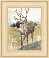 Load image into Gallery viewer, Colors of The Wild
