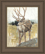 Load image into Gallery viewer, Colors of The Wild
