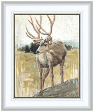 Load image into Gallery viewer, Colors of The Wild
