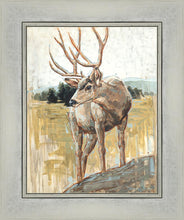 Load image into Gallery viewer, Colors of The Wild
