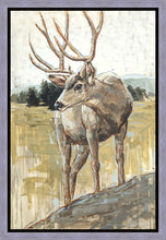 Load image into Gallery viewer, Colors of The Wild
