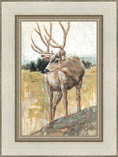 Load image into Gallery viewer, Colors of The Wild
