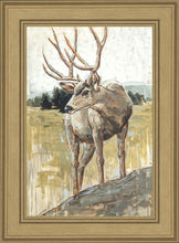 Load image into Gallery viewer, Colors of The Wild
