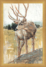 Load image into Gallery viewer, Colors of The Wild
