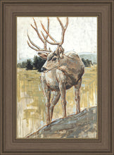 Load image into Gallery viewer, Colors of The Wild
