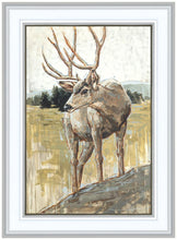 Load image into Gallery viewer, Colors of The Wild

