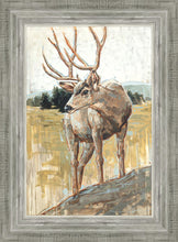 Load image into Gallery viewer, Colors of The Wild
