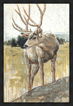 Load image into Gallery viewer, Colors of The Wild
