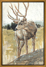 Load image into Gallery viewer, Colors of The Wild Gallery Wrap
