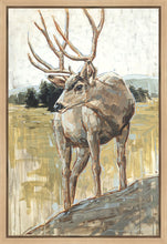 Load image into Gallery viewer, Colors of The Wild Gallery Wrap
