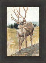 Load image into Gallery viewer, Colors of The Wild
