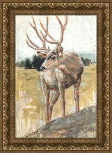 Load image into Gallery viewer, Colors of The Wild
