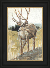 Load image into Gallery viewer, Colors of The Wild
