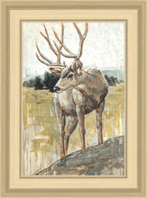 Load image into Gallery viewer, Colors of The Wild

