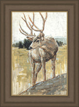 Load image into Gallery viewer, Colors of The Wild
