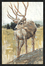 Load image into Gallery viewer, Colors of The Wild
