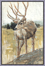 Load image into Gallery viewer, Colors of The Wild Gallery Wrap
