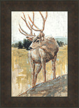 Load image into Gallery viewer, Colors of The Wild
