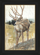 Load image into Gallery viewer, Colors of The Wild
