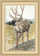 Load image into Gallery viewer, Colors of The Wild
