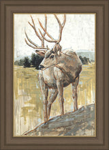 Load image into Gallery viewer, Colors of The Wild
