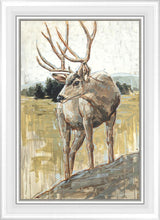 Load image into Gallery viewer, Colors of The Wild
