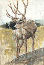 Load image into Gallery viewer, Colors of The Wild Gallery Wrap
