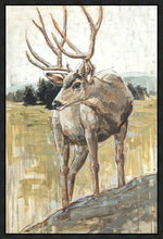 Load image into Gallery viewer, Colors of The Wild Gallery Wrap
