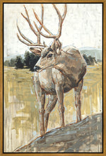 Load image into Gallery viewer, Colors of The Wild
