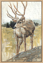 Load image into Gallery viewer, Colors of The Wild Gallery Wrap
