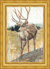 Load image into Gallery viewer, Colors of The Wild
