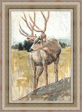Load image into Gallery viewer, Colors of The Wild

