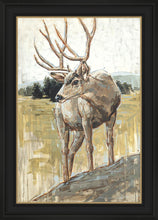 Load image into Gallery viewer, Colors of The Wild
