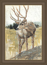 Load image into Gallery viewer, Colors of The Wild
