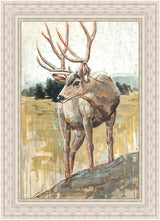 Load image into Gallery viewer, Colors of The Wild
