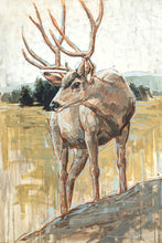 Load image into Gallery viewer, Colors of The Wild
