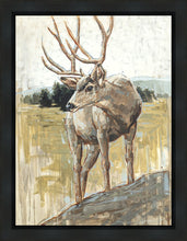 Load image into Gallery viewer, Colors of The Wild Gallery Wrap
