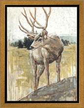 Load image into Gallery viewer, Colors of The Wild
