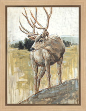Load image into Gallery viewer, Colors of The Wild Gallery Wrap
