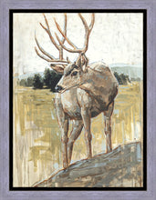 Load image into Gallery viewer, Colors of The Wild
