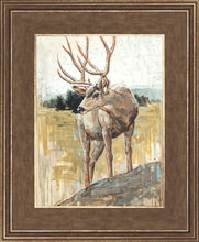 Load image into Gallery viewer, Colors of The Wild
