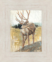 Load image into Gallery viewer, Colors of The Wild

