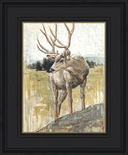Load image into Gallery viewer, Colors of The Wild
