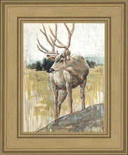 Load image into Gallery viewer, Colors of The Wild
