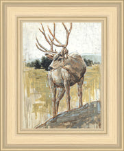 Load image into Gallery viewer, Colors of The Wild
