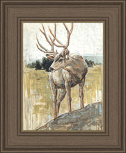 Load image into Gallery viewer, Colors of The Wild
