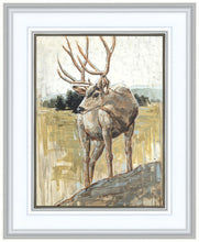 Load image into Gallery viewer, Colors of The Wild
