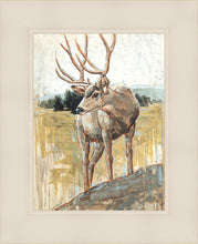 Load image into Gallery viewer, Colors of The Wild
