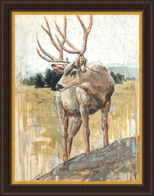 Load image into Gallery viewer, Colors of The Wild
